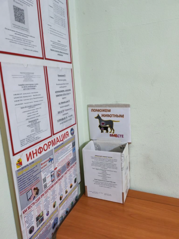 Помощь приюту "Право на жизнь"